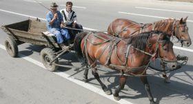 Méretarányos igény