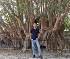 A fák mindent tudó székelyföldi doktora – Márton Huba Zoltán favizsgálóval beszélgettünk