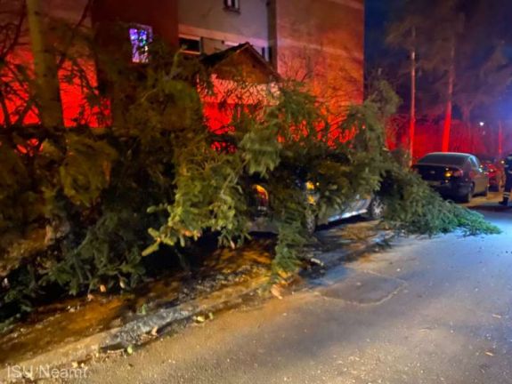 Fákat döntött ki a vihar, autók rongálódtak meg