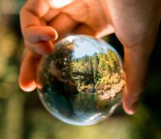 Maszol: nyolc zöld kérdés, amiről 2024-ben írtunk, de 2025-öt is érinti