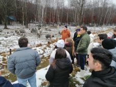 Szakmai együttműködés: a Sapientia EMTE hallgatói jártak a Hargita megyei Kongo Farmon