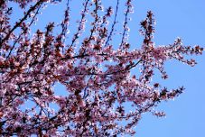 Ilyen lesz az idő a következő négy hétben