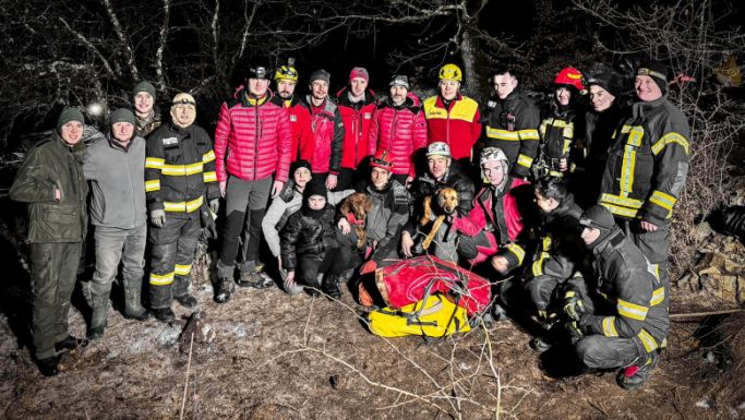 Tizenöt méter mély gödörbe zuhant két kutya, megmentették az állatokat