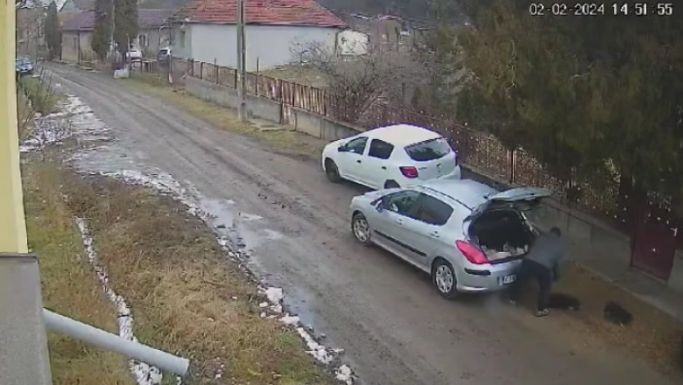 Magára hagyta három kutyáját, négyezer lejre büntették