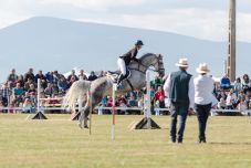 Lovas rendezvényekhez keres társszervezőket Hargita Megye Fejlesztési Ügynöksége