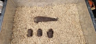 Fel nem robbant gránátokat találtak Tusnádfürdőn