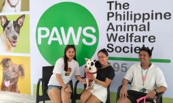 Mentett állatoknak szerveztek Valentin-napi randit