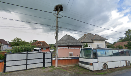 Miniszteri rendelettel költöztetnek el gólyafészket Máramaros megyében (SZAVAZZ!)