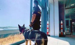 Börtönbe kerül a repülőn részegen randalírozó férfi