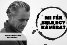 Mi fér bele egy kávéba? Otthonról haza - Herman Levente festőművésszel marosvásárhelyi műtermében