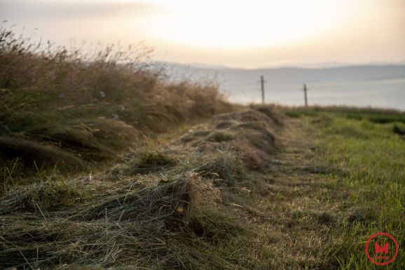 Márciustól igényelhetők az agrár-környezetvédelmi támogatások – Nem módosíthatók már a támogatási csomagok