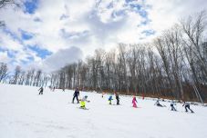 Aktív munkaszüneti napot kínálnak a sepsiszentgyörgyi sportlétesítményekben