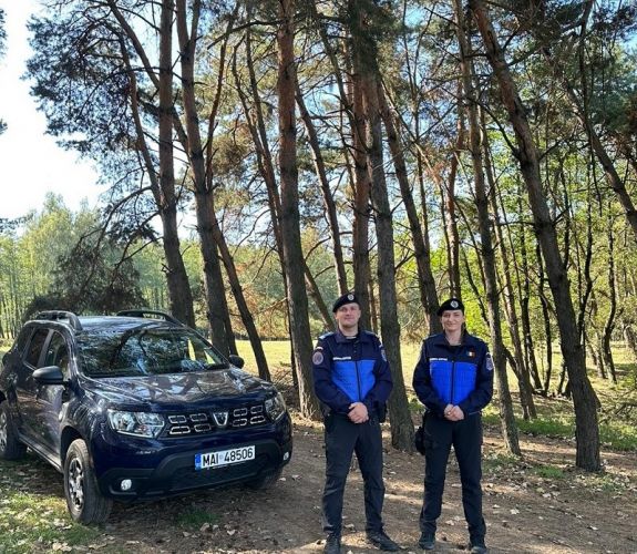 A háromszéki csendőrök tavaly 253 medvét kergettek el településekről