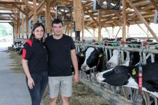 A székelyföldi farm, ahol robot feji a teheneket: édesapja gazdaságát akarta megmenteni, okos farmot hozott létre férjével közösen