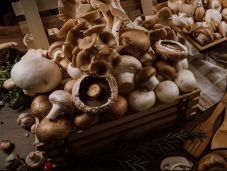 Megduplázta a termelési kapacitását a szilágysági gombatermesztő cég