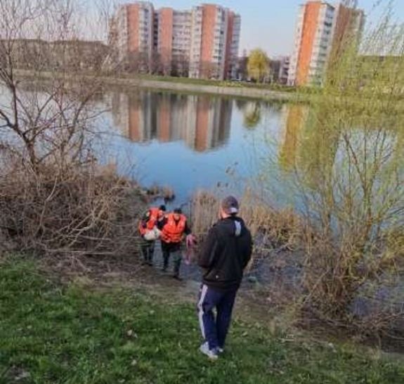 Hattyút mentettek a tűzoltók Nagyváradon
