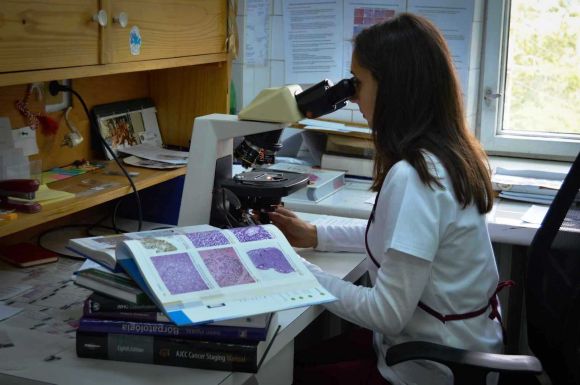 Naponta találkozik a halállal: boncol, szerveket vizsgál, daganatokat tár fel a patológus