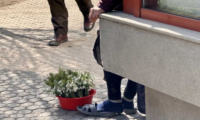 Sepsiszentgyörgyön üldözik a hóvirág és zergeboglár árusokat