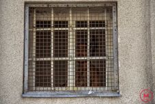 Börtönbe küldték a bíróverő klubvezetőt