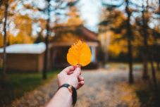 Drasztikus időjárás-változásra figyelmeztetnek a meteorológusok