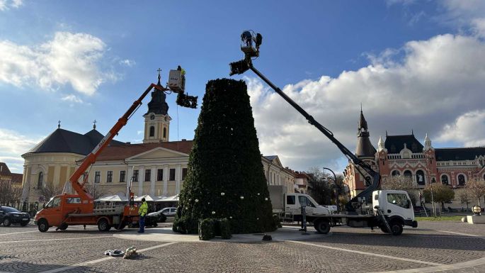 Díszítik Nagyvárad karácsonyfáját