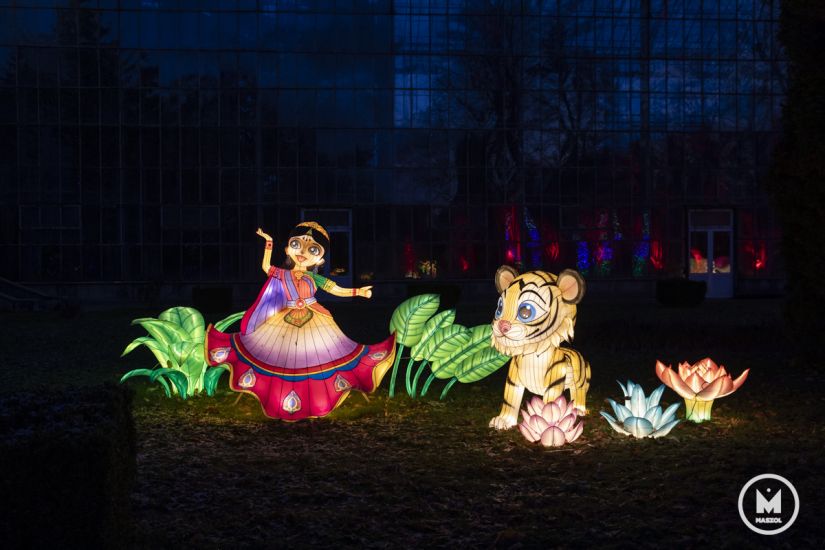 Bámulatos fényes-zenés kiállítás a kolozsvári botanikus kertben (FOTÓRIPORT)