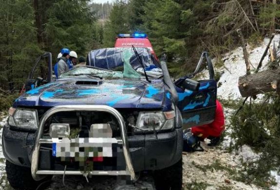 Súlyosan megsérült egy fiatalember, amikor autójára dőlt egy fa