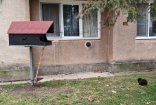 Macskaetetőket helyeznek ki Kézdivásárhelyen