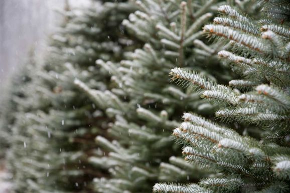 Kiadták a decemberi előrejelzést: ilyen időre számíthatunk karácsonykor