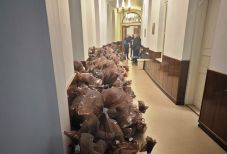 FRISSÍTVE – Nekiveselkedtek a szavazatok újraszámlálásának – ötszáz ember végzi 1800 munkáját