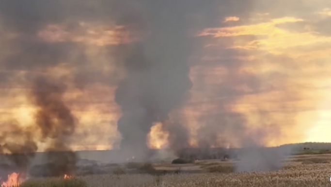 Hatalmas tűz ütött ki a Neajlov-deltában (VIDEÓ)