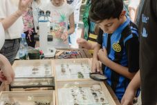 190 éves a bukaresti Grigore Antipa Természettudományi Múzeum