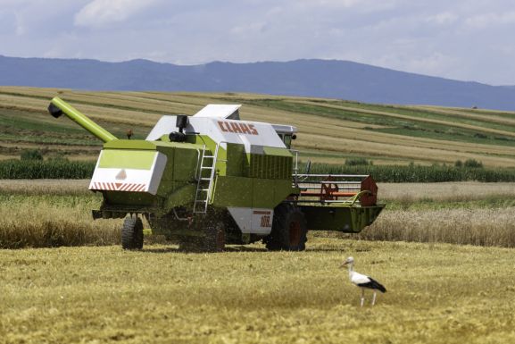 Félmilliónál több gazda kapta meg a mezőgazdasági támogatás előlegét
