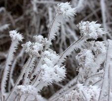 Fogvacogtató volt a hétfő reggeli időjárás Székelyföldön