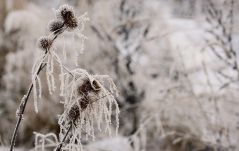 Újra Csíkszereda volt az ország leghidegebb pontja