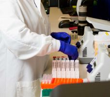 Nem ellenőrzik az élelmiszert – ezzel fenyegetőzik az aradi állategészségügyi és élelmiszer-biztonsági igazgatóság