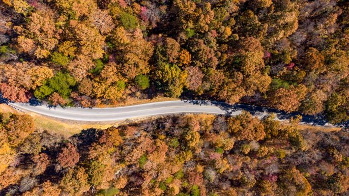 Ezt jósolják a meteorológusok a következő négy hétre