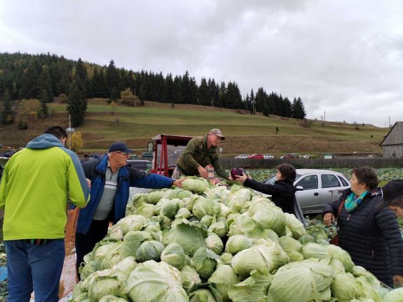 Vágják, adják, megünneplik – a 17. Szépvízi káposztavágáson és vásáron jártunk