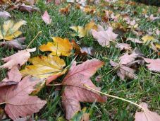 Kéthetes előrejelzés régiónként: változékony időjárással folytatódik október 