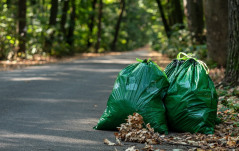 Országos takarítási napot „választott” a képviselőház