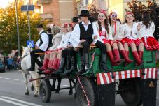 Csőszök tánca és a szüreti felvonulás Nagykárolyban