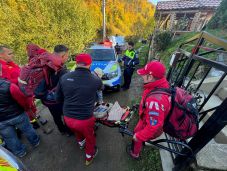 Kóborkutya támadt rá egy temetőbe igyekvő asszonyra