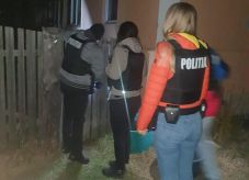 Hargita megyei alkohol- és dohánycsempészeket buktattak le