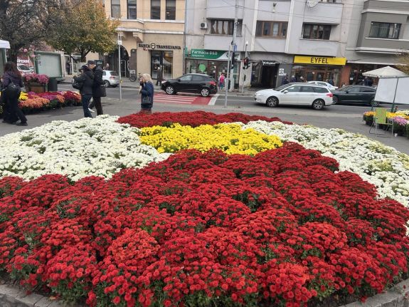 Ismét virágba borult Marosvásárhely főtere