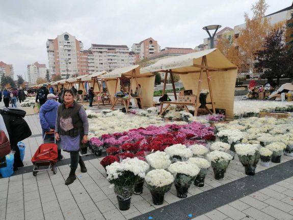 Virágok mindenszentek ünnepére: bőséges a választék Kézdivásárhelyen és Csíkszeredában is