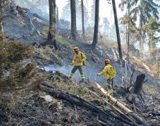 Negyedik napja küzdenek a Bondoraszó és Biharfüred térségében pusztító erdőtűzzel