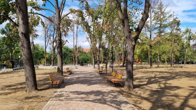 Faültetéssel folytatódik a Petőfi park felújítása