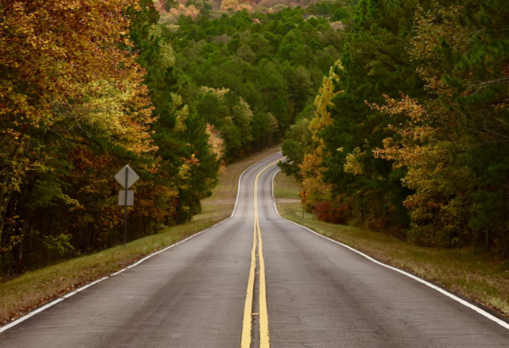 Fákat vágnak ki a Csíkszeredát Székelyudvarhellyel összekötő út mentén