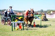 Két évtizedes hagyomány: minden a lovassportokról szólt Mezőfényen 