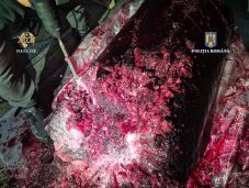 Újabb részletek a kokainfogásról – Előzetes letartóztatásban a csempészek (VIDEÓ)